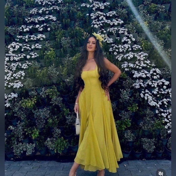 Zara Dresses & Skirts - Zara ZW Collection Midi Dress